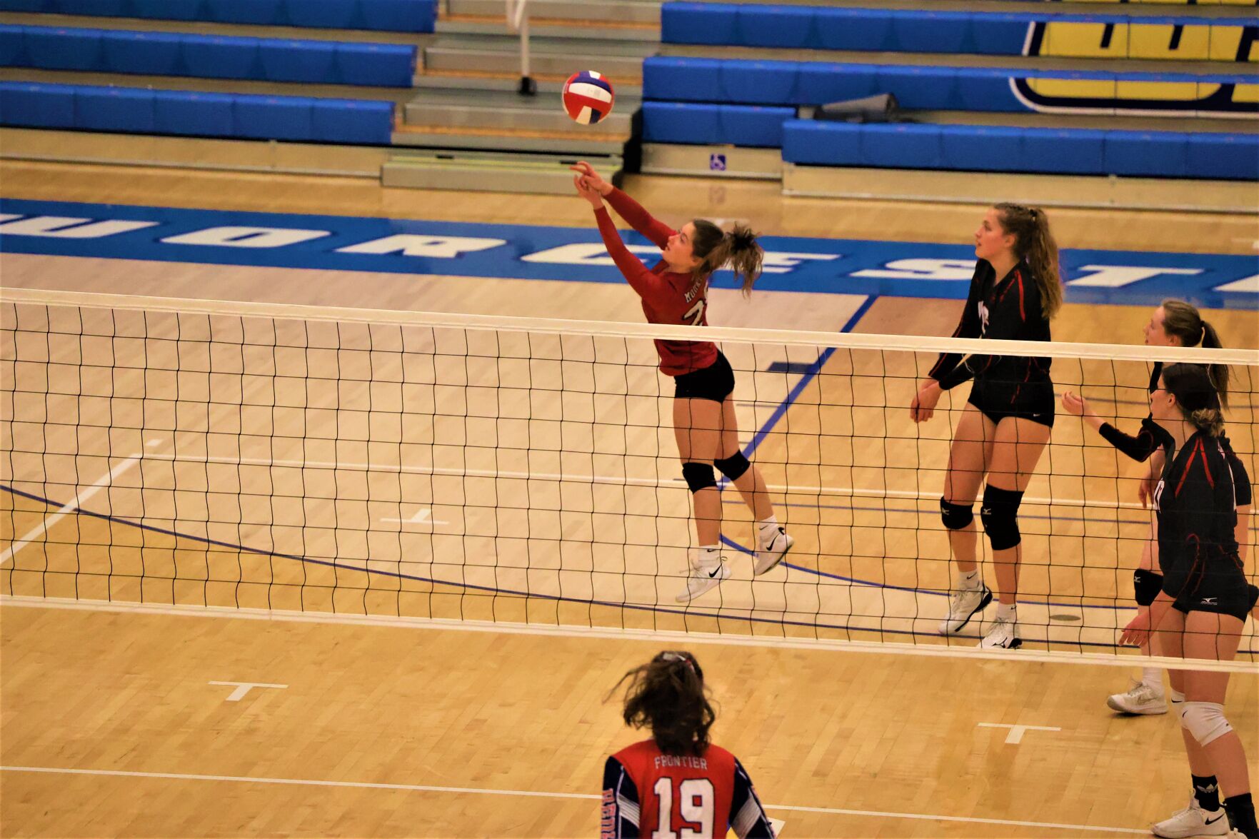 lainey gill plays volleyball
